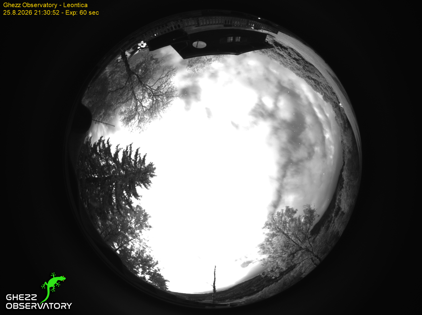 All Sky Camera